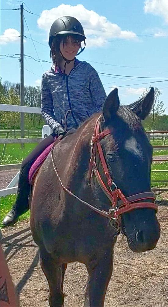 Equine Couture Ladies Crystal Riding Gloves - Customer Photo From Alison Rogers