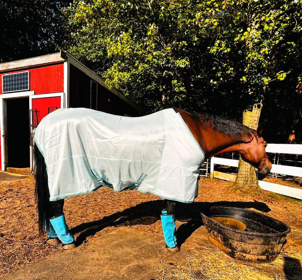 TuffRider Comfy MESH Fly Sheet - Customer Photo From Sheri