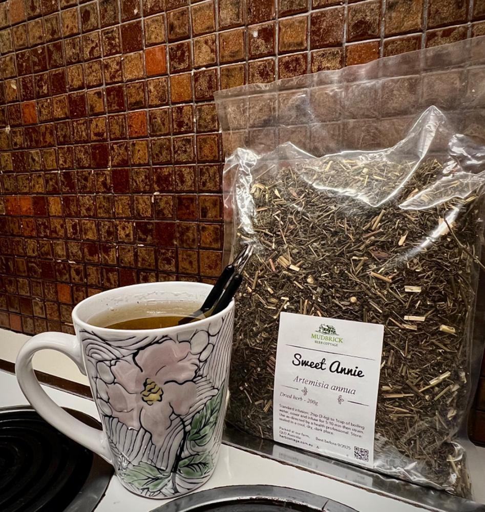 Sweet Annie / Chinese Wormwood - Customer Photo From Natalie Rosenqvist