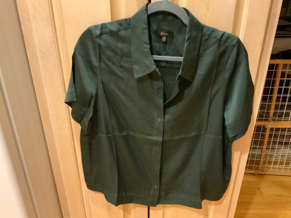 Washable Stretch Silk Short Sleeve Blouse - Customer Photo From SUSAN SUSAN