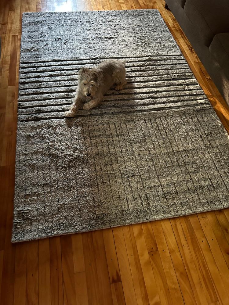 Troy Hand-Knotted Wool Rug - Customer Photo From Milissa