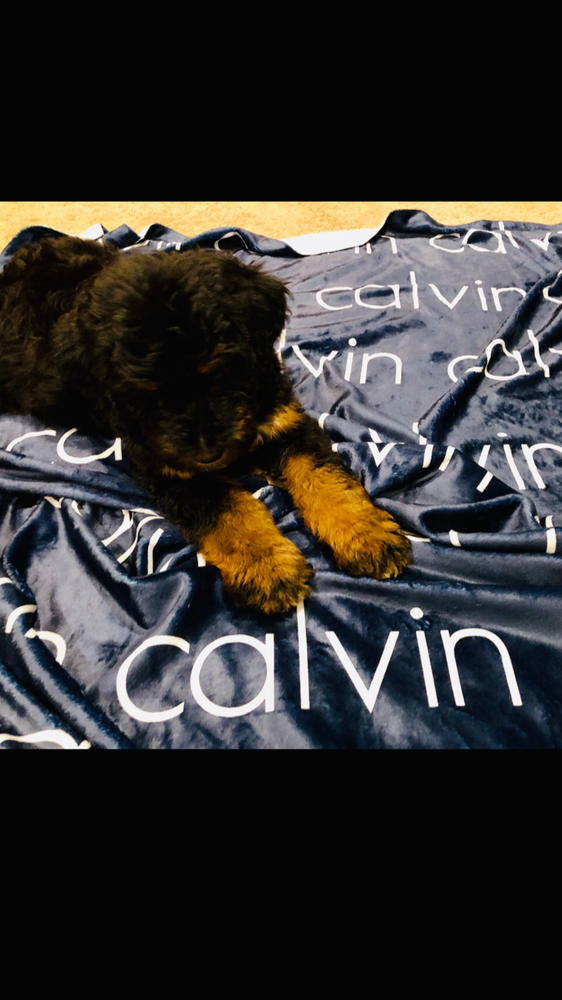 PERSONALIZED NAME BLANKET - BOLD (ALL COLOR OPTIONS) - Customer Photo From Robert Shaw