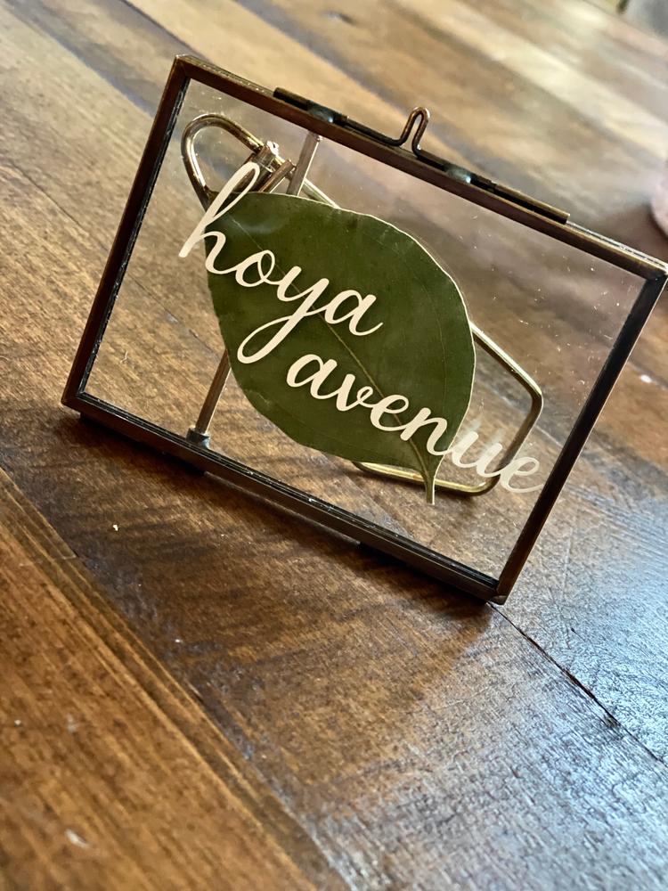 Pressed Glass Floating Photo Frames - Customer Photo From Lindsey 