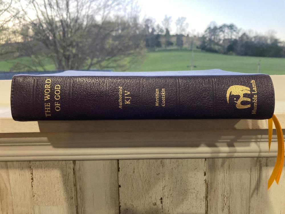 KJV Lion - Purple - Customer Photo From Ethan Elliott