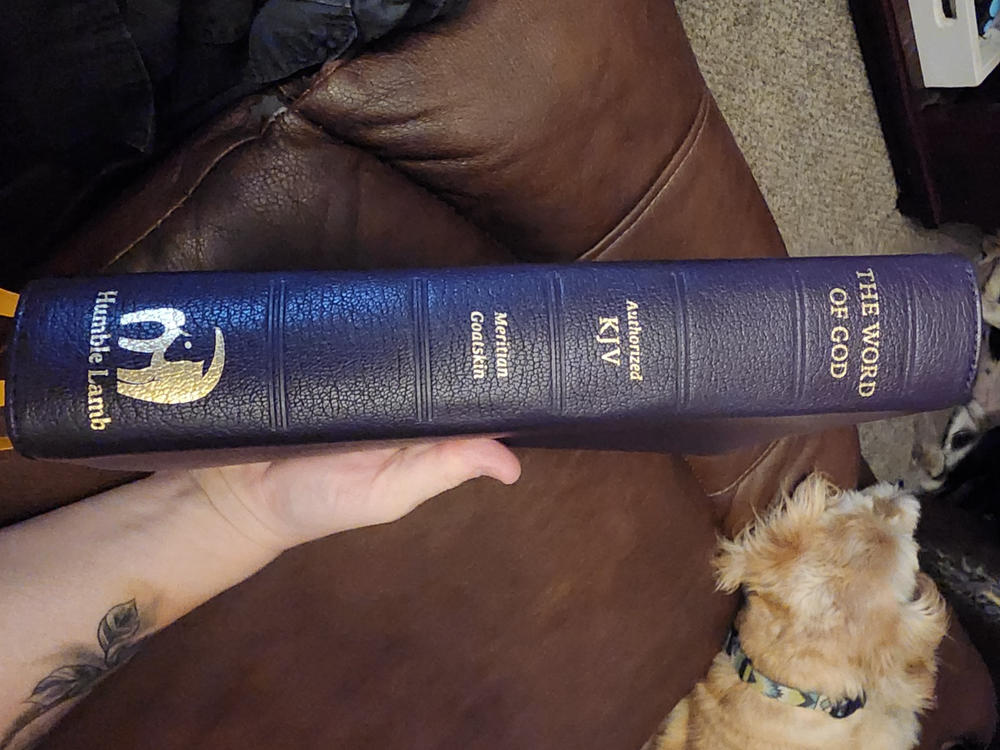 KJV Lion - Purple - Customer Photo From Corey Blais