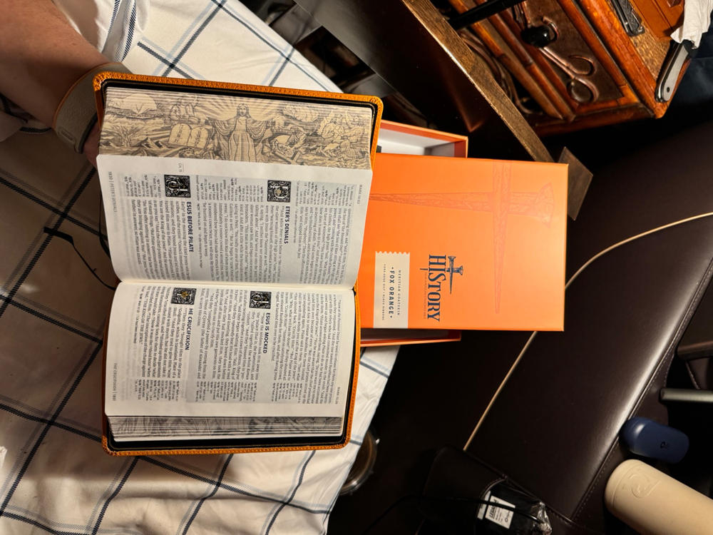 NASB HIStory - Fox Orange - Customer Photo From Phil Partridge