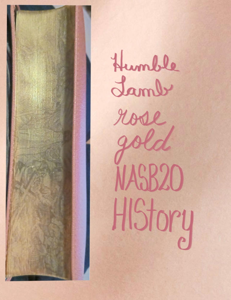 NASB HIStory - Rose Gold - Customer Photo From Linda Blackwell