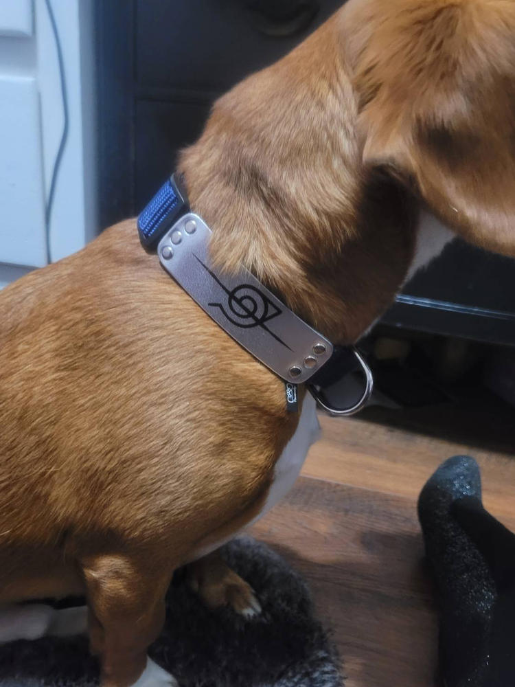 Rogue Ninja Collar - Customer Photo From Kadejah Steele