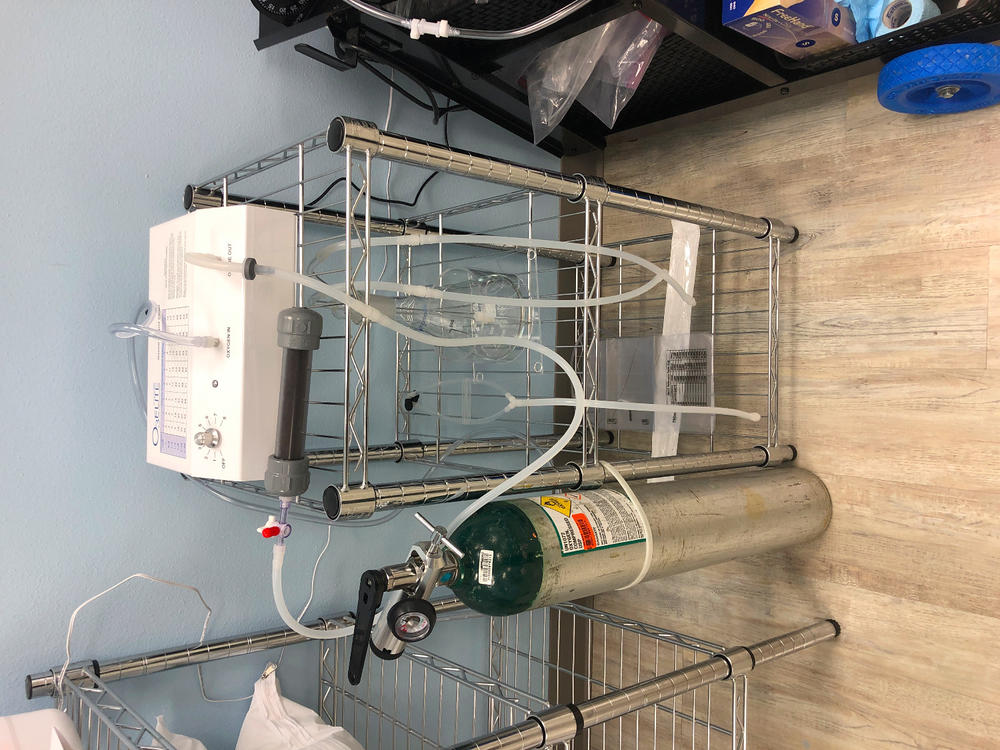 Basic Ozone Insufflation Package - Customer Photo From Kim E.