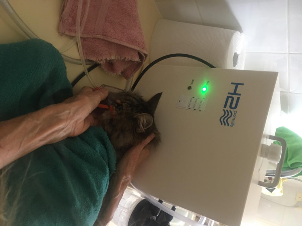 H2 Hydrogen Inhalation and Drinking System - Customer Photo From Deirdre Cuttle