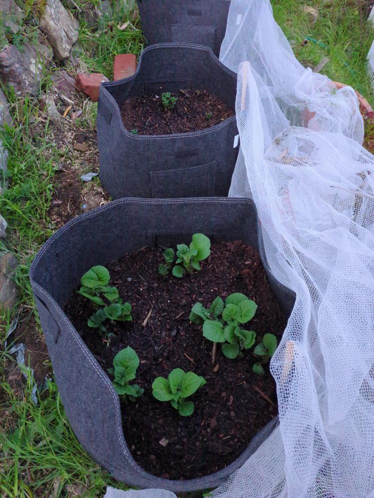 Gardener's Best® Potato Grow Bag