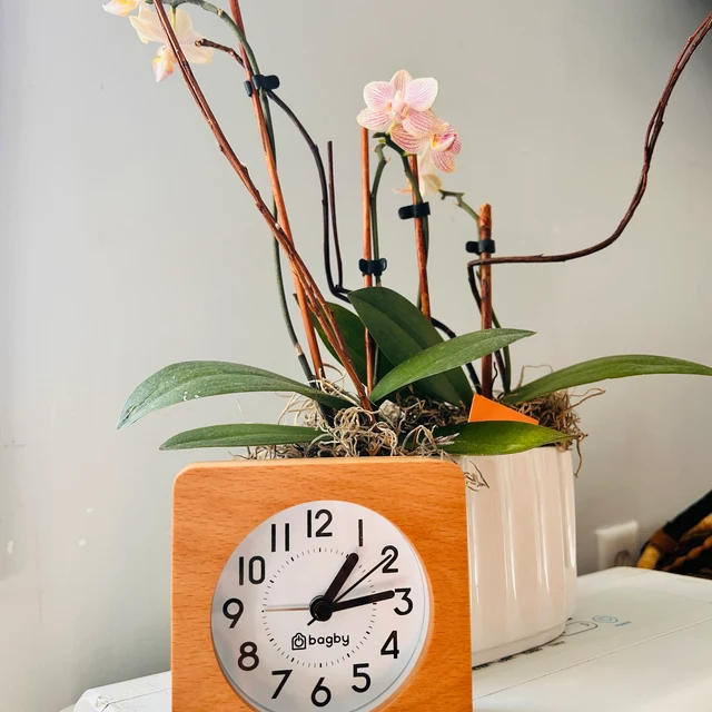 Bagby CLASSIC - Silent Alarm Clock - Customer Photo From Justyna