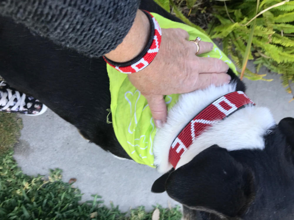 Bundle - Best Friend Pet Collar & Bracelet - Customer Photo From Tempel W.