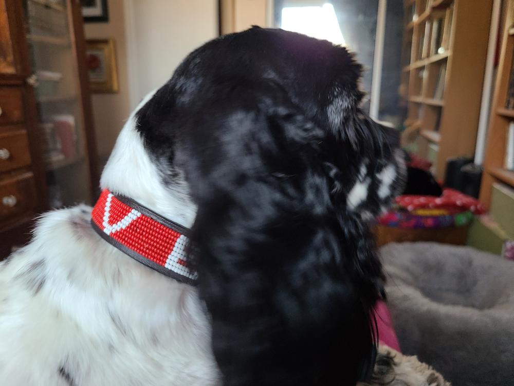 LOVE Pet Collar - Red - Customer Photo From Cat Willison