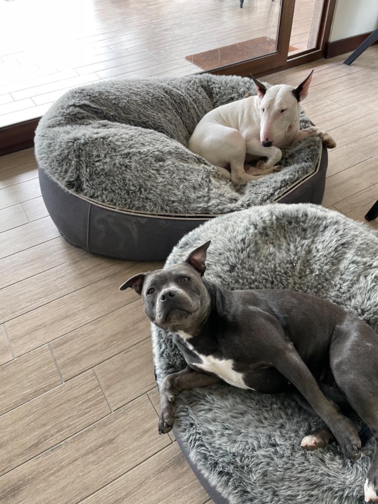 175 lt. UltraPerla + Funnelweb - Customer Photo From Anonymous