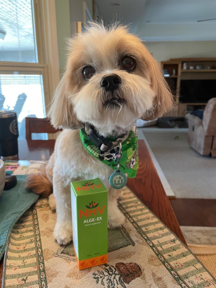 Alge-Ex for dogs - Customer Photo From Linda Orlowski-Smith