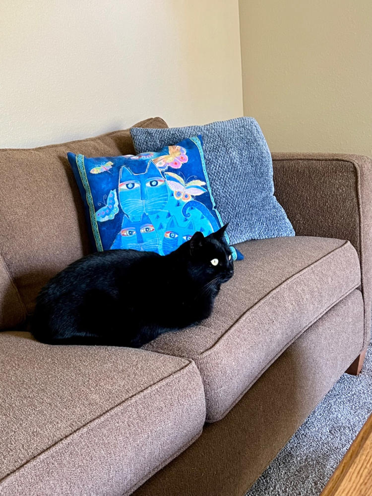 Ey Eas for cats - Customer Photo From Carol Snyder