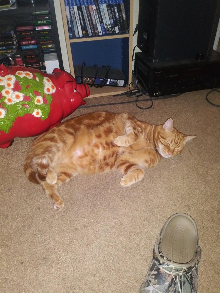Inflammatory Bowel Disease (IBD / IBS) Comfort Kit - Customer Photo From Phillip spangler