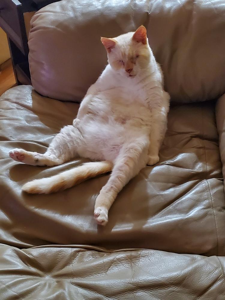 Maris for cats - Customer Photo From Shelli