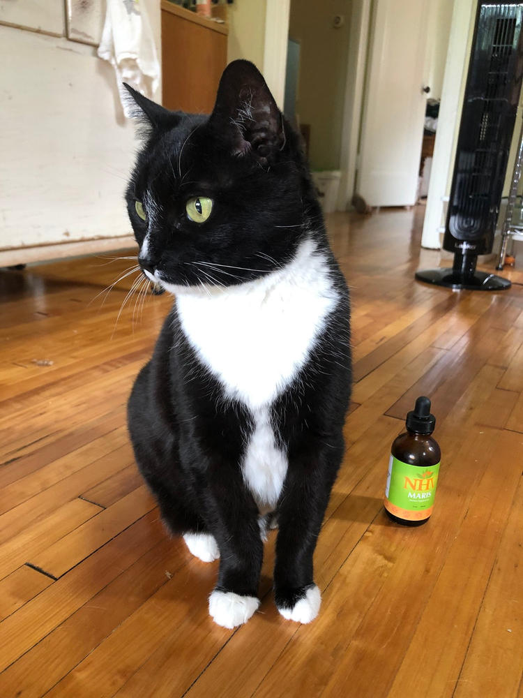 Maris for cats - Customer Photo From Meredith Swortwood
