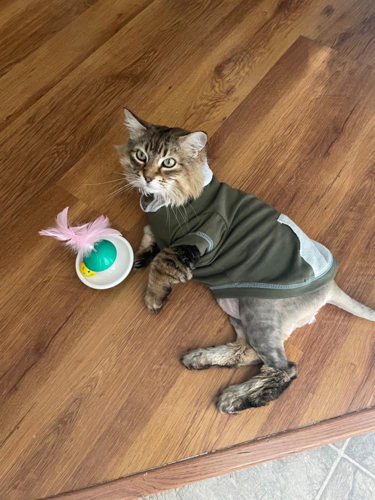Mellit for cats - Customer Photo From Sandra Lambert