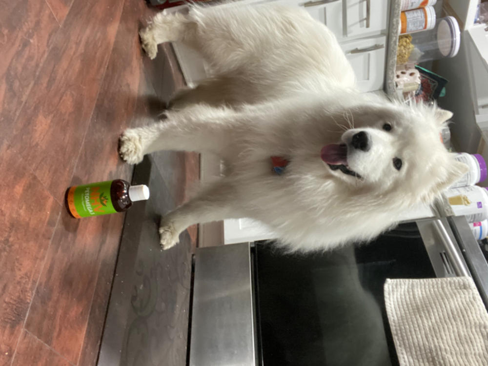 Petomega 3 for dogs - Customer Photo From Magali Jimenez Palos
