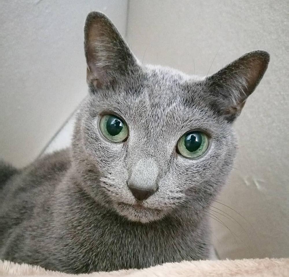 ❤️❤️❤️❤️❤️❤️❤️❤️❤️❤️❤️❤️❤️❤️, image size:1000x959