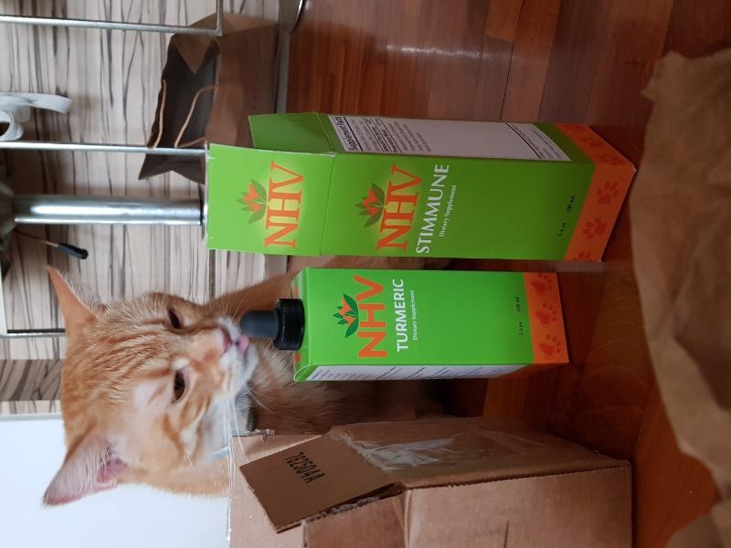 Stimmune for cats - Customer Photo From Stuart Tan