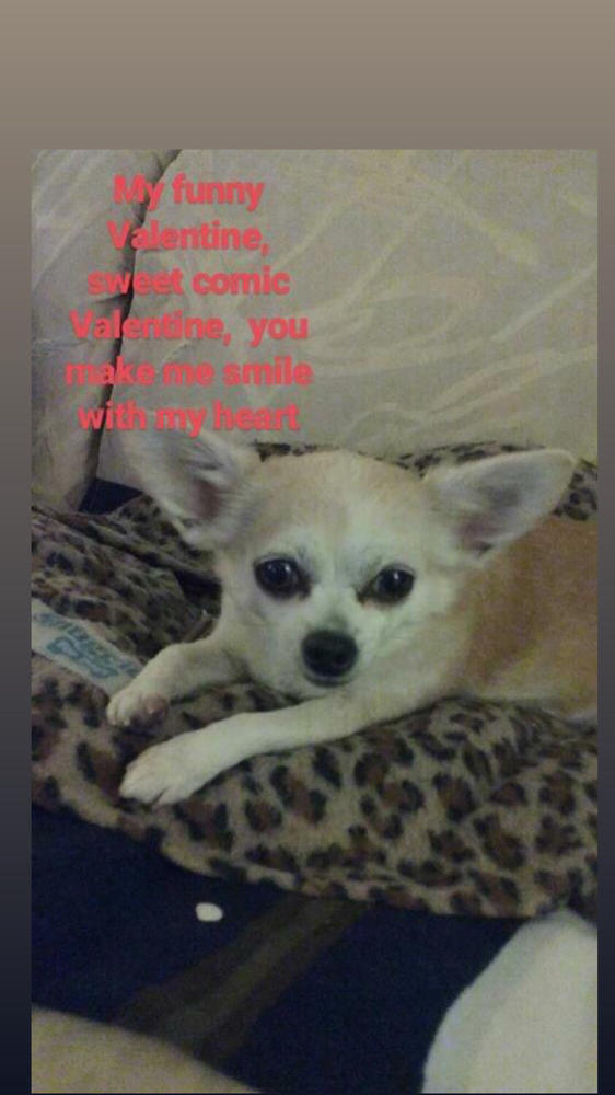 FREE 15-MINUTE ONLINE VIDEO CHAT - Customer Photo From Joyce Recupero