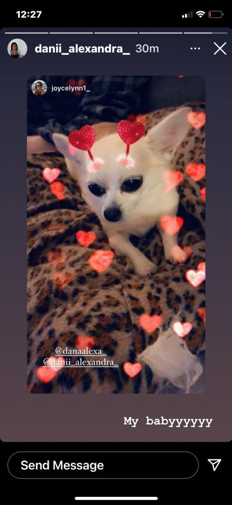 FREE 15-MINUTE ONLINE VIDEO CHAT - Customer Photo From Joyce Recupero