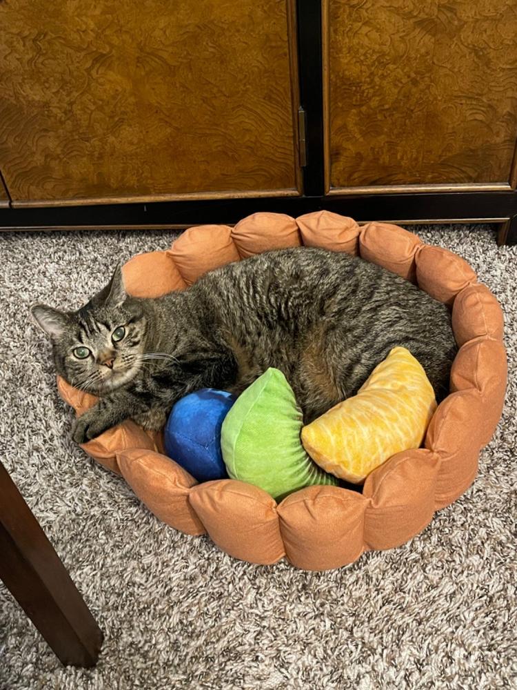 Fruit Tart Cat Bed - Customer Photo From Mary Schlotte
