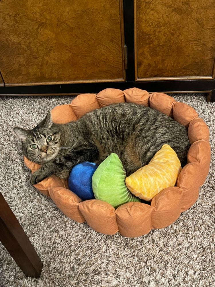 Fruit Tart Cat Bed - Customer Photo From Mary Schlotte