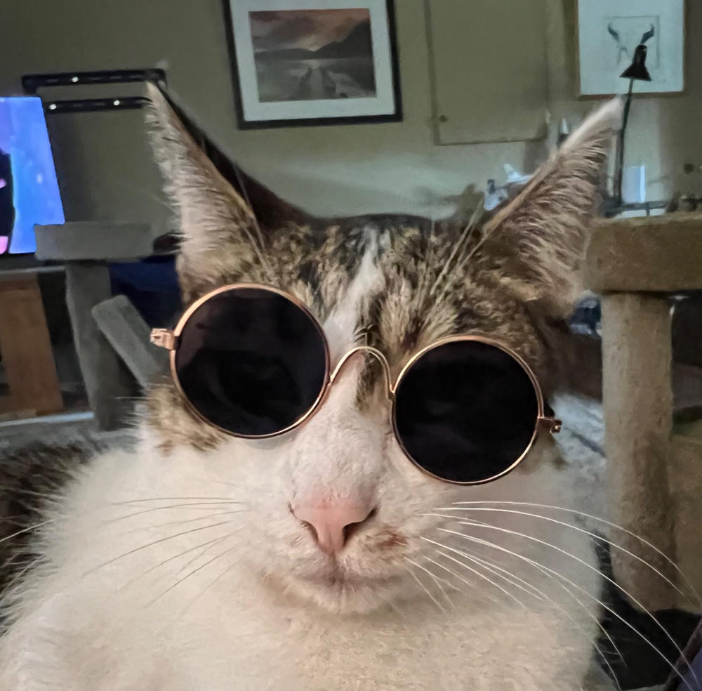 Kitty Hippie Sunglasses - Customer Photo From janet roy