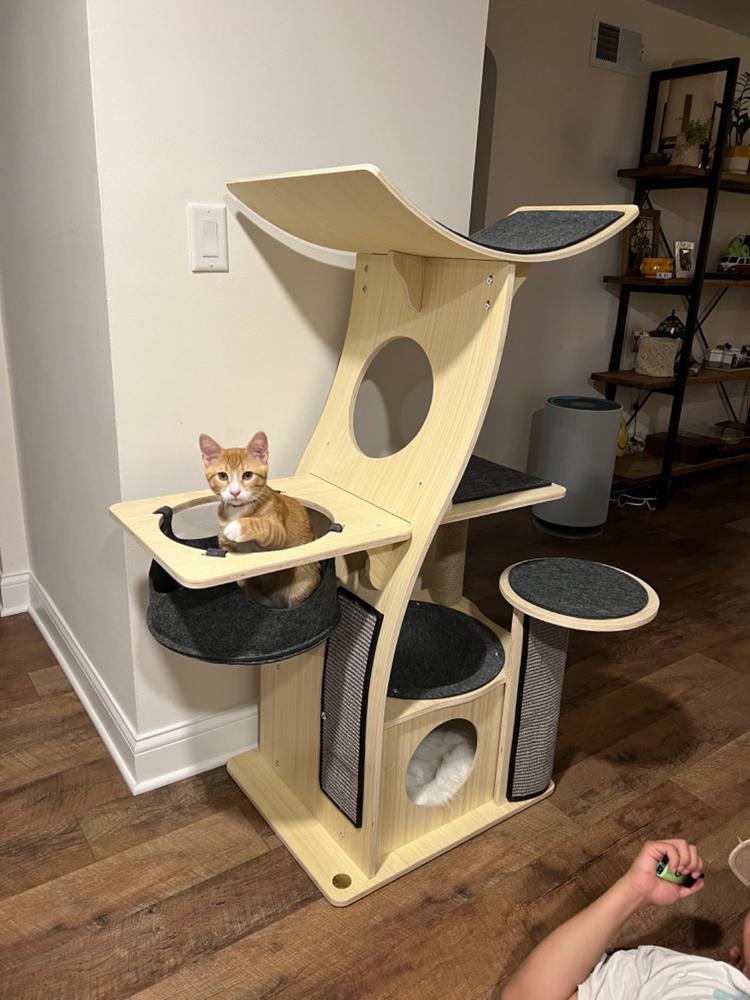 Jungle Gym Cat Tree 2.0 - Customer Photo From lindsey Lenartowski