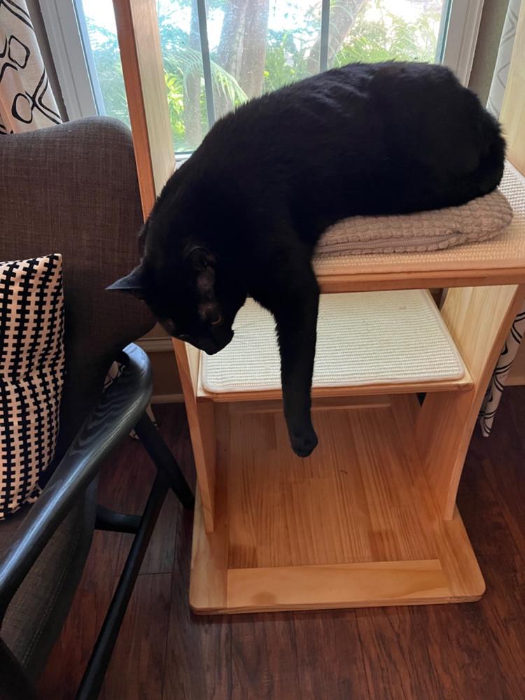 Mega Perch Cat Tree - Customer Photo From Rebecca Dunn