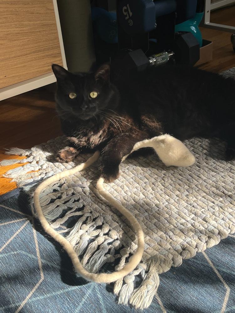 Organic Wool Ghostly Halloween Cat Toy - Customer Photo From Christina Huntington