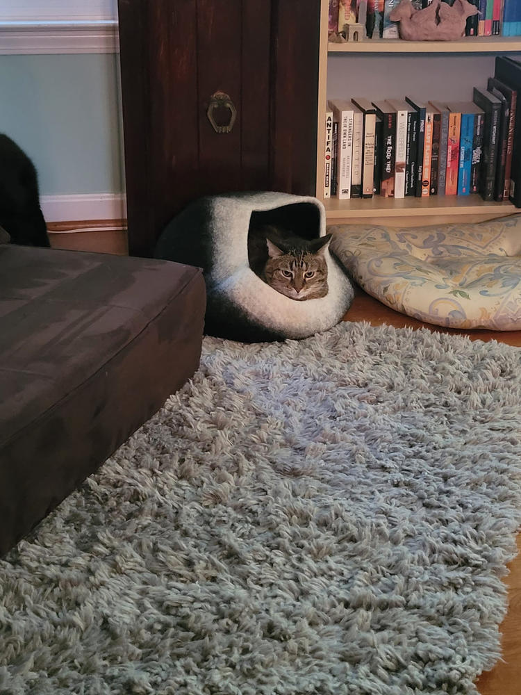 Le Chat Noir Organic Wool Cat Cave - Pet Bed - Customer Photo From Pascale Vaillancourt