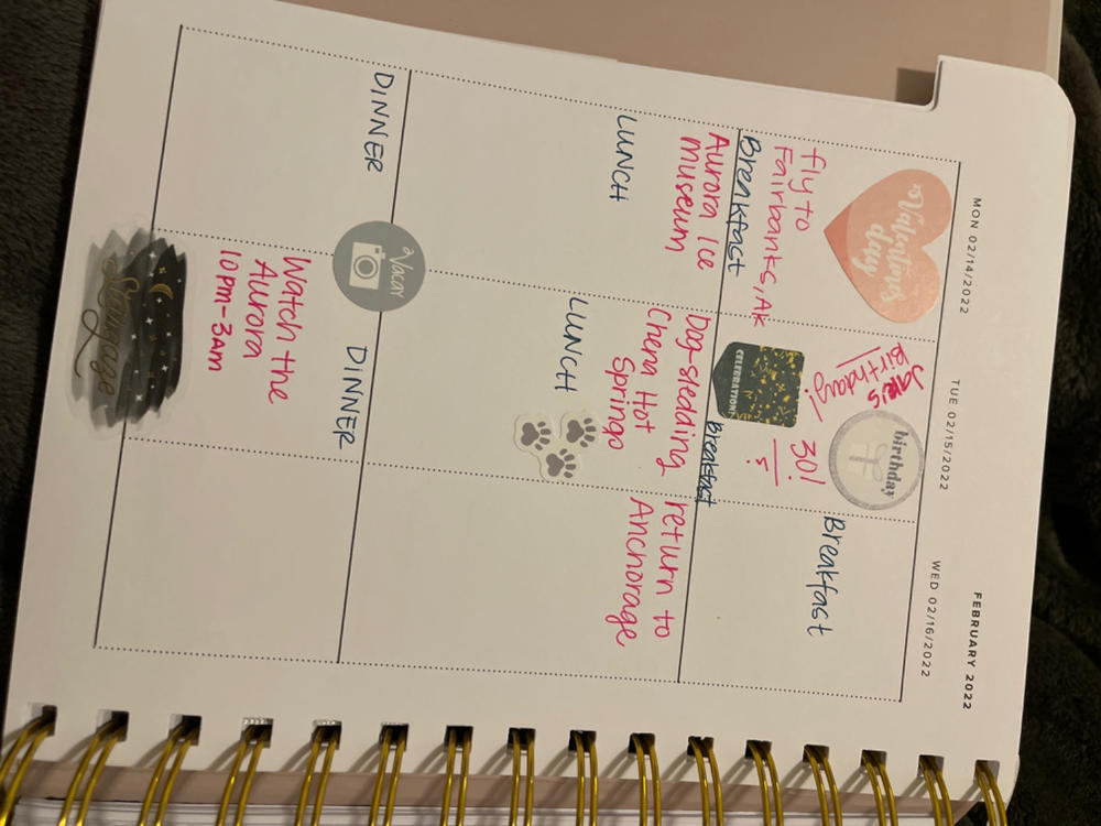 Planner Stickers - Customer Photo From Chantell Haynes