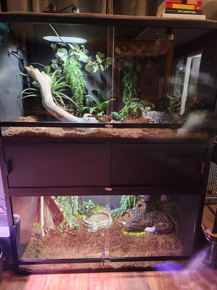 Reptile Habitats 4x2x2 PVC Reptile Enclosure | $299 Free Shipping ...