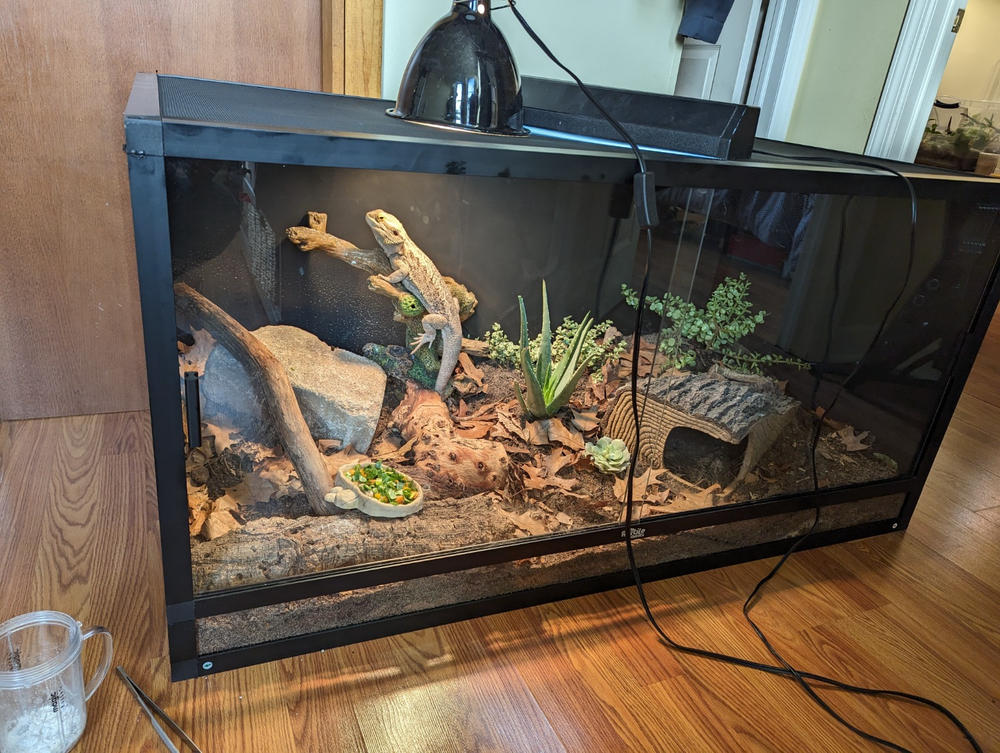 Reptile Habitats 4x2x2 PVC Reptile Enclosure | $299 Free Shipping ...