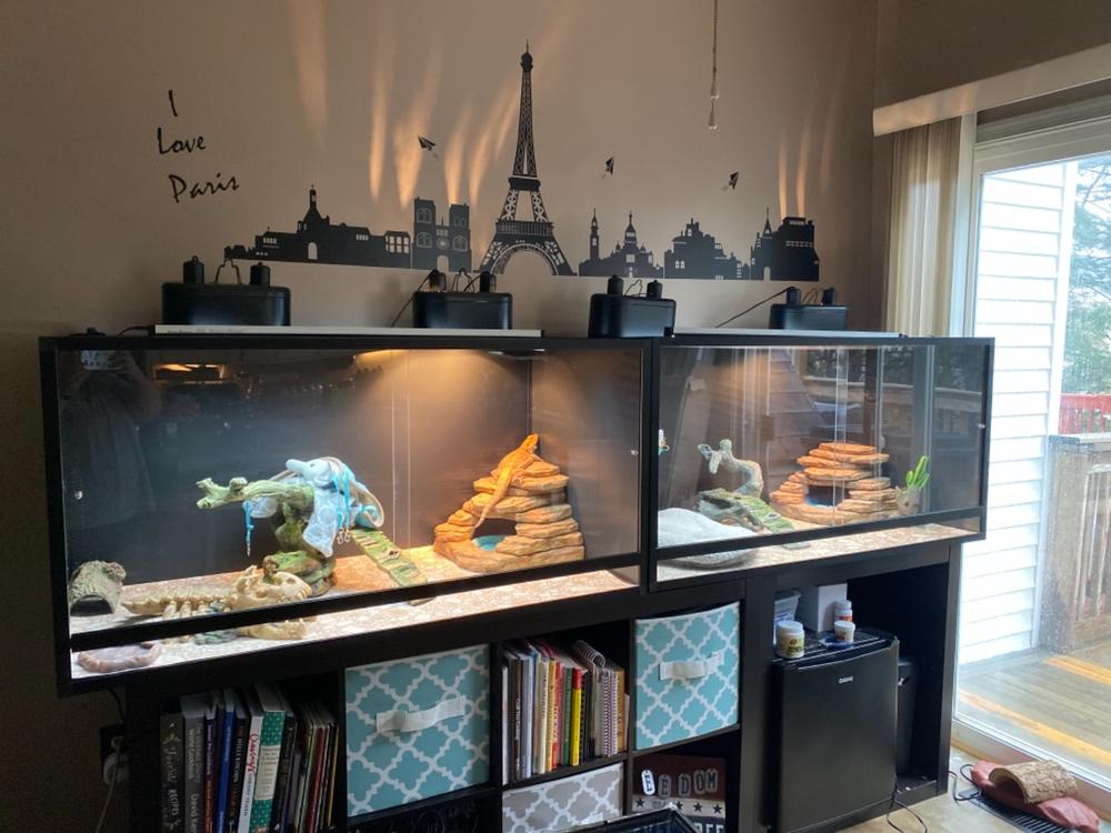4’x2’x2’ PVC Panel Reptile Enclosure