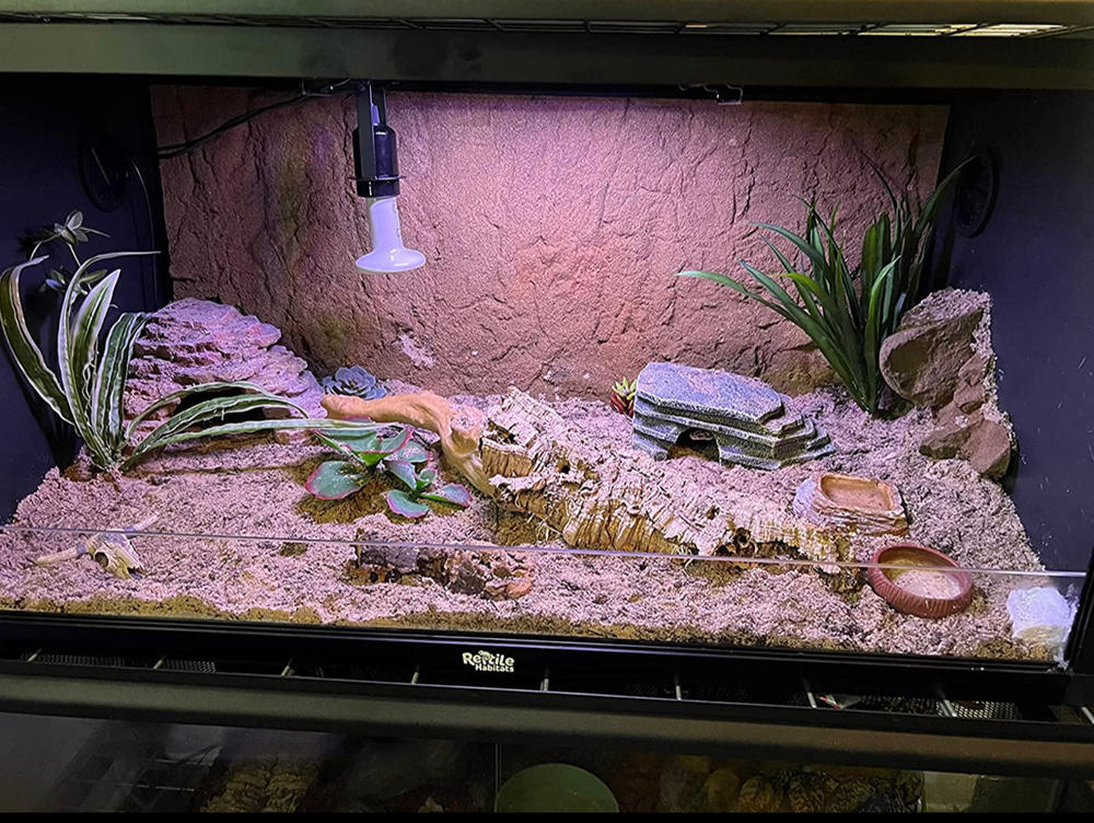 36x18x18 (50 Gallon) Reptile Enclosure V2