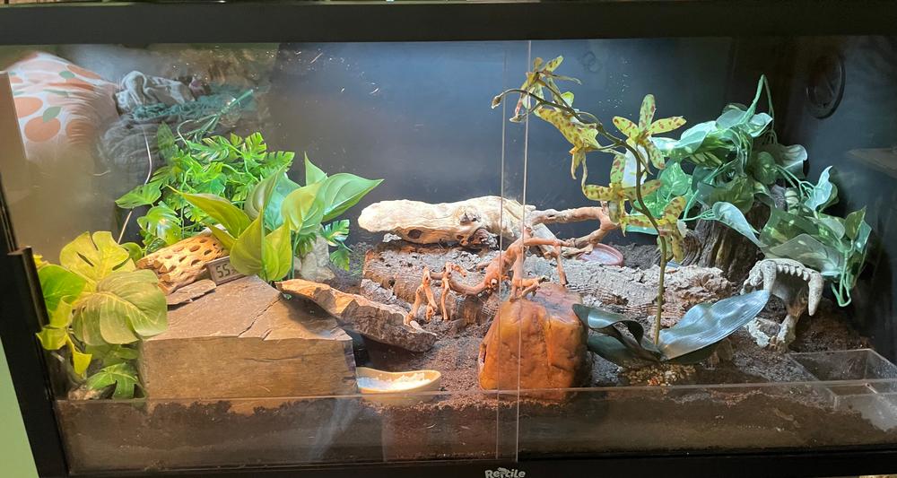 36x18x18 (50 Gallon) Reptile Enclosure V2