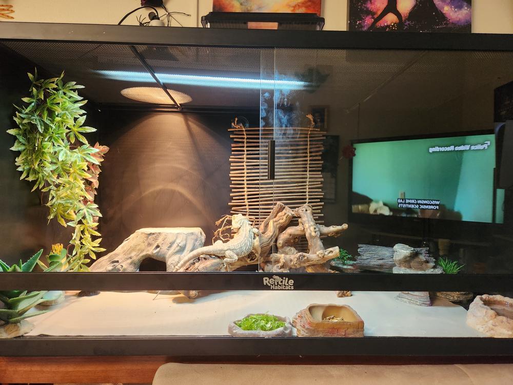 4x2x2 bearded clearance dragon enclosure