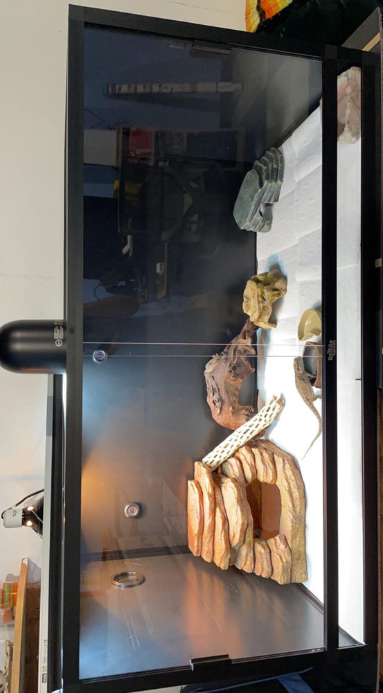 Reptile Habitats 4x2x2 (120 Gallon) PVC Bearded Dragon Enclosure