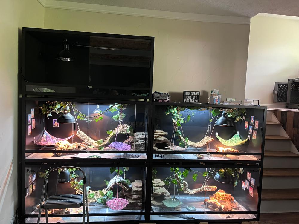Reptile Habitats 4x2x2 (120 Gallon) PVC Bearded Dragon Enclosure