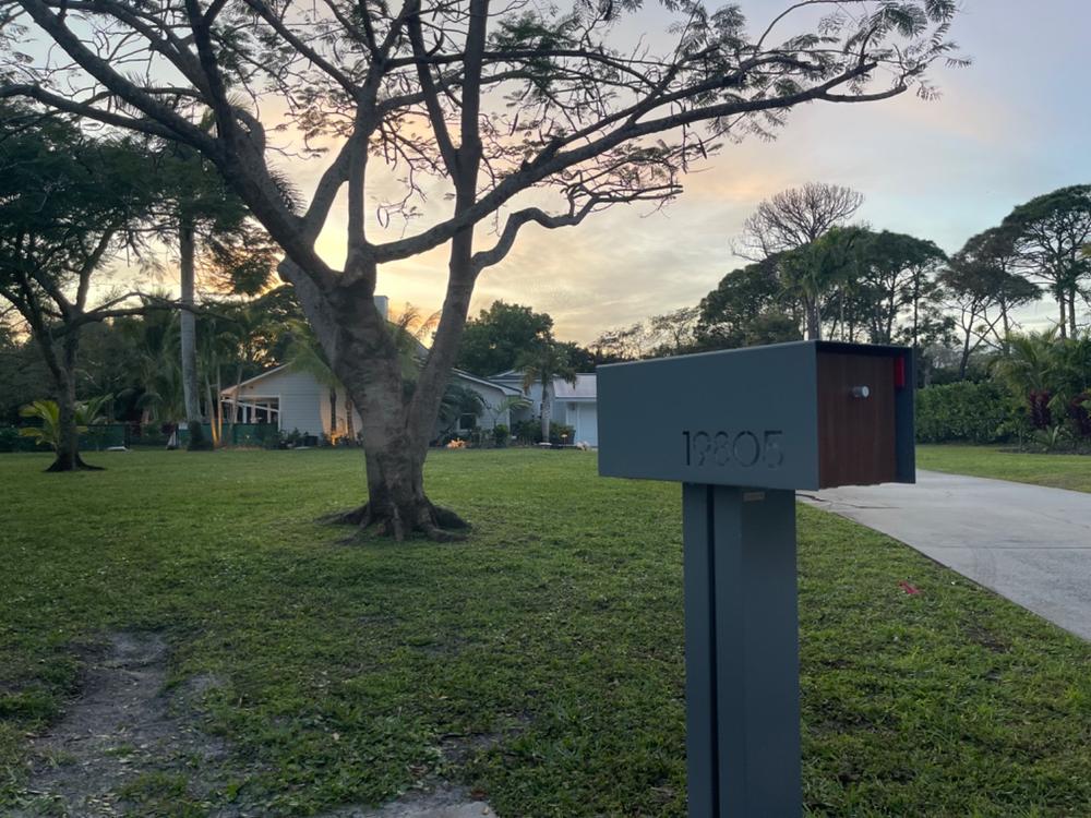 Waldo | Custom Mailbox - Customer Photo From Autumn Bowes