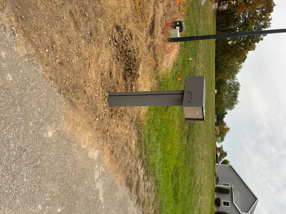 Waldo | Custom Mailbox - Customer Photo From Ken Brand