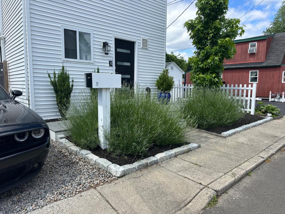 Waldo | Custom Mailbox - Customer Photo From Julie Bilotta