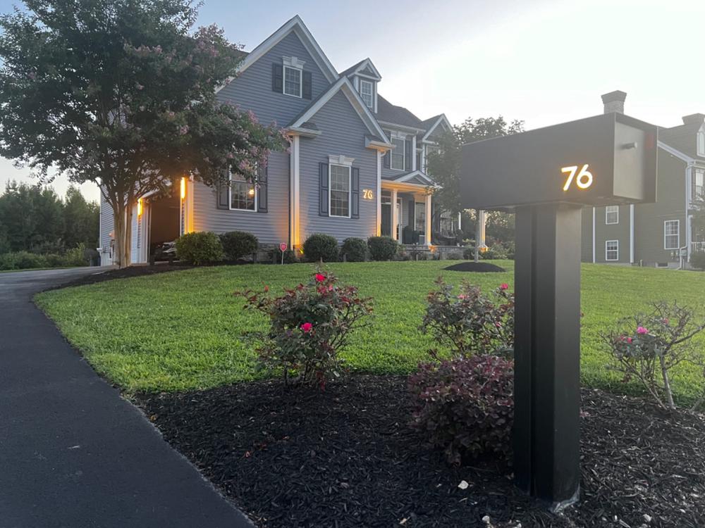 Waldo | Custom Mailbox - Customer Photo From Omari Fennell